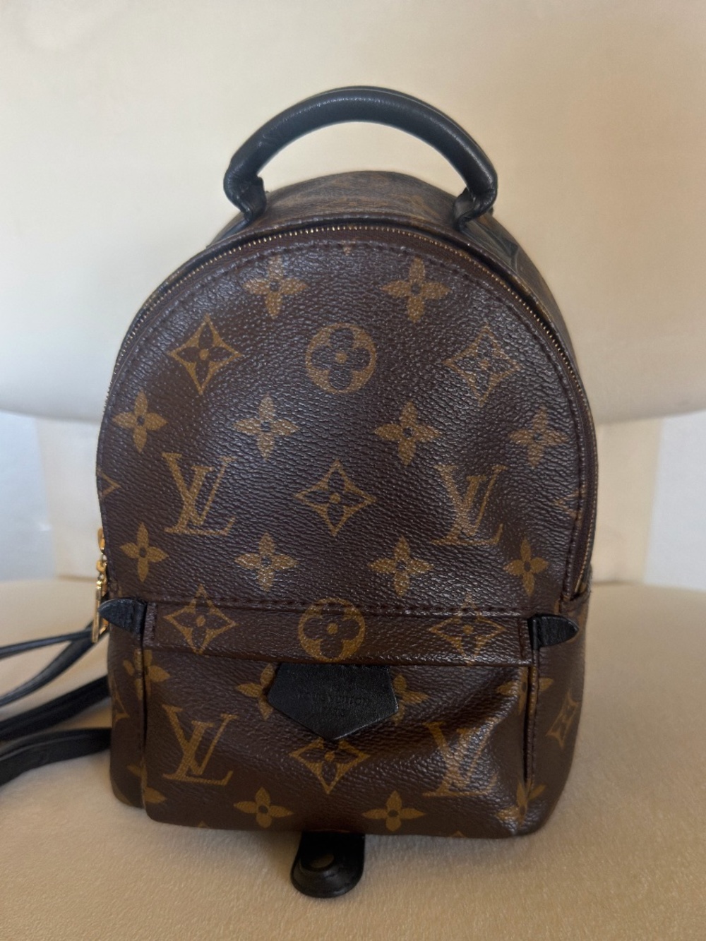 Louis Vuitton Palm Springs Backpack Mini
